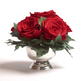 ROSEMARIE SCHULZ Heidelberg Infinity Flower Arrangement in Silver Bowl, 6 Preserved Roses in Red Long Lasting (Red, 6 Roses)