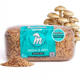 Mycelium Sterilized 5 LB Mushroom Grain Spawn Bag | Organic 60/40 Millet & Milo Blend for Fast Growth & High-Yield | |Ready-To-Use with Self-Healing Injection Port & Cultivation Enhancer | Made in USA