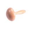 The Quilted Bear Darning Mushroom - Smooth Wooden Mushroom Darner
