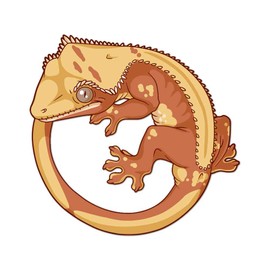 Crested Gecko Decal -Indoor and Outdoor use! (Creamsicle)