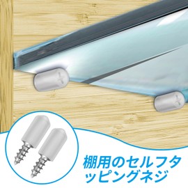 Doyime Dowel Shelf Dowel Shelf Dowel Screw Type Shelf Dowel Shelf Support Pin for Partition Shelf Wall Shelf Display Shelf Shelf Shelf Holder Metal