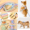 Cat Harness, Cat Leash Set, Flower Shape, Cat Harness, Lightweight,