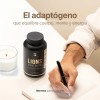 Hongo Melena León 180 Cápsulas Hasta Meses Consumo Apoyo Concentración