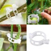 100Pcs White Plastic Trellis Clips Plant Support Clips,Tomato Clip,Cages Plants