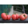 UtopiaSeeds Brandywine Pink Heirloom Tomato Seeds - Large Delicious Tomato