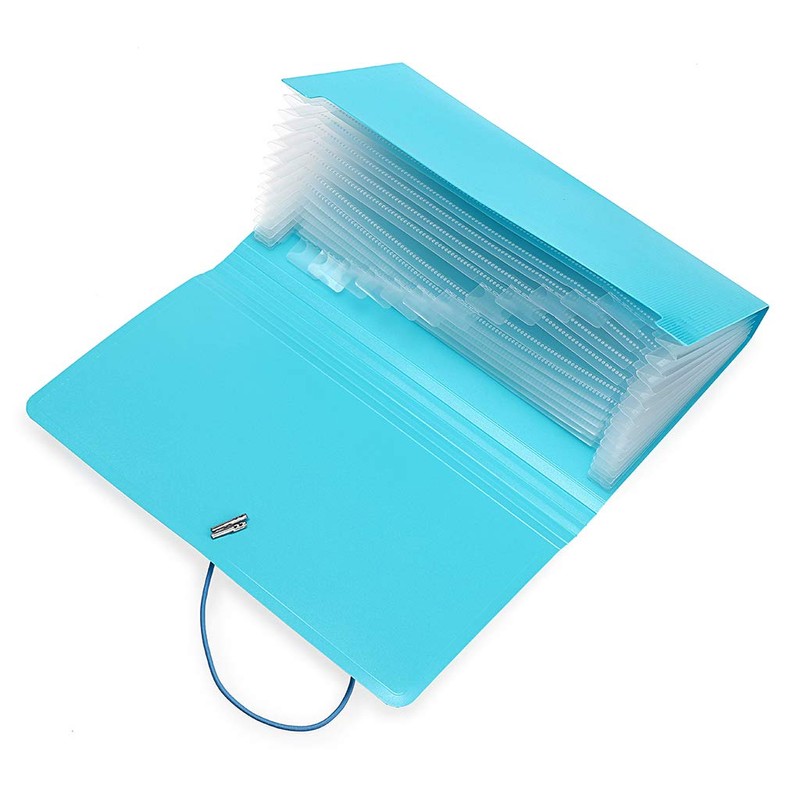 BTSKY Expanding File Folder - Blue, Plastic, 10.2in x 1in
