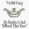 I'M Not Crazy Waterproof Vinyl Window Bumper Sticker Decal 5"