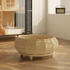 SHENGOCASE Extra Large Handwoven Paper Rope Wicker Rattan Pet Cat