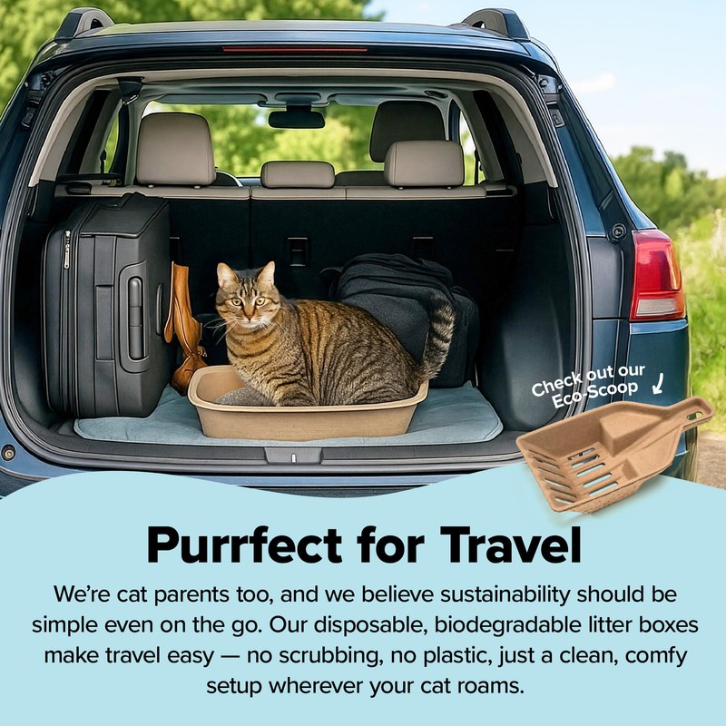 Kitty Sift Disposable Cat Litter Box Jumbo, 6 Pack, Eco-Friendly