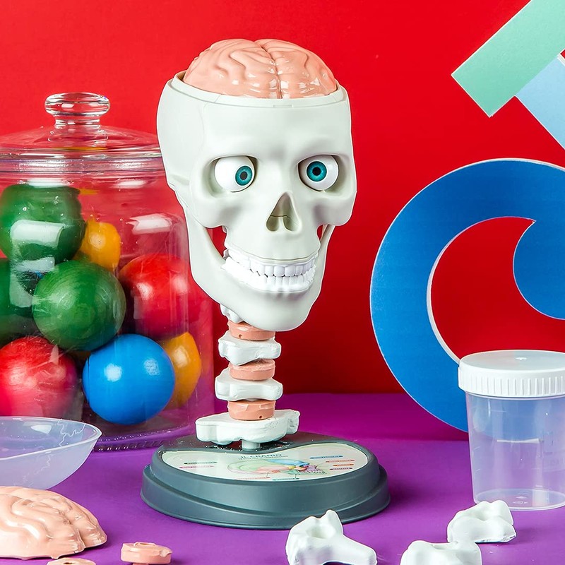 Clementoni 61520 Science&Play Crazy Anatomy Scientific Kit for Children-Ages 8