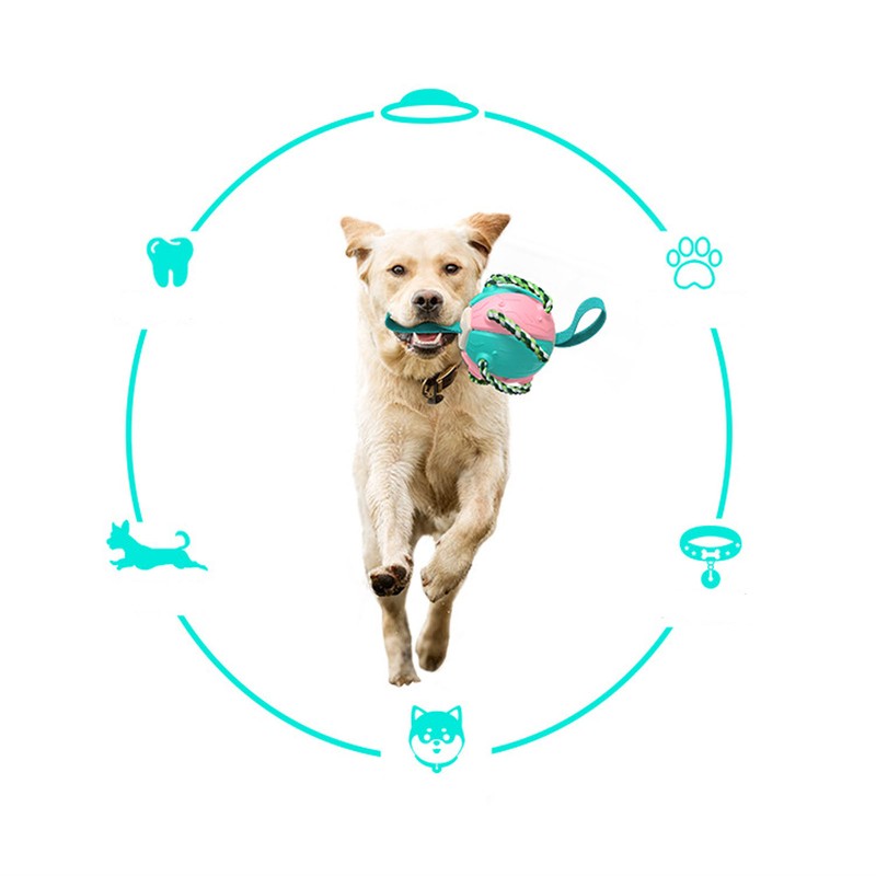 Interactive Outdoor Fly Ball Flying Saucer Ball Interesting Dog Soccer