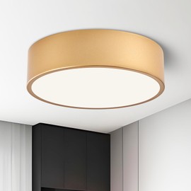 TYNCEAOL Modern Dimmable Round LED Flush Mount Ceiling Light Fixture, Mounted Ceiling Lighting Fixtures Gold,5CCT 2700-6000K,Ceiling Lamp for Kitchen Hallway Bedroom Laundry Room Hall Entryway,11.8 In