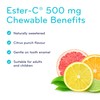 SISU Ester-C 500 mg Chewable, Citrus 90 T (Pack of