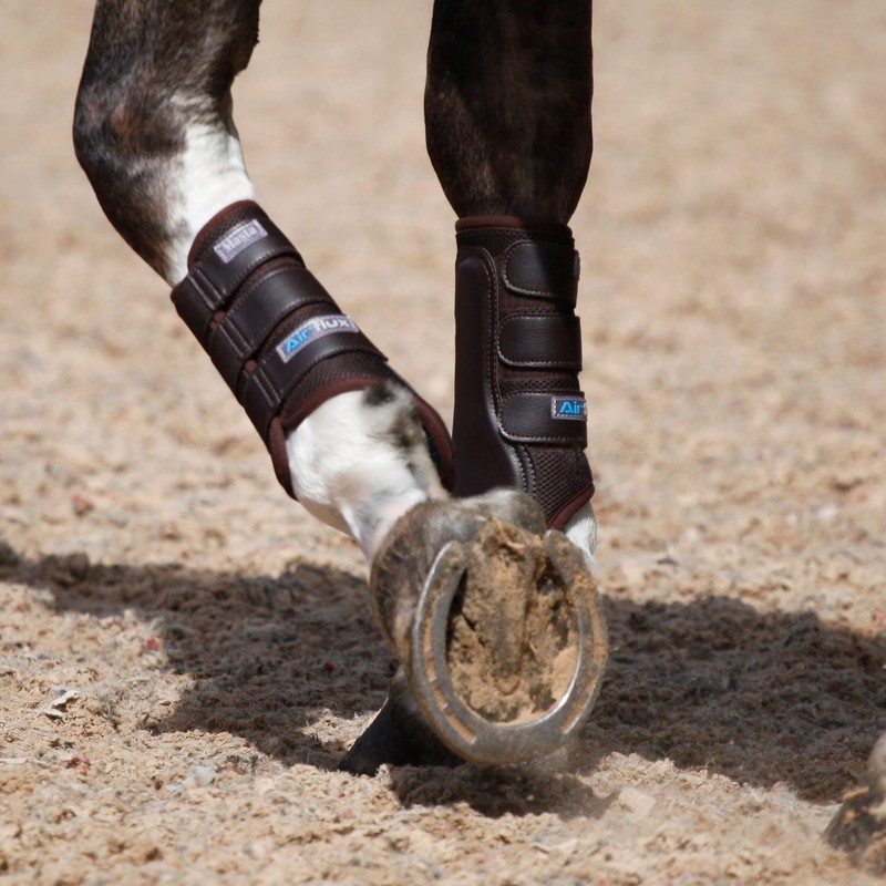 Masta Air-Flux Horse Brushing Boots - Training Neoprene Protective Wrap