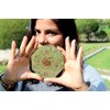 PRAJET CRYSTALS Prajet Energized Orgonite Healing Crystals Hexagonal Vastu Plate
