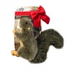 ALL FOR PAWS Interactive Dog Squirrel Plush Squeaky Toy -