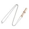 Ashes Necklace 316L Stainless Steel Oxidation Resistant Memorial Cremation Jewelry