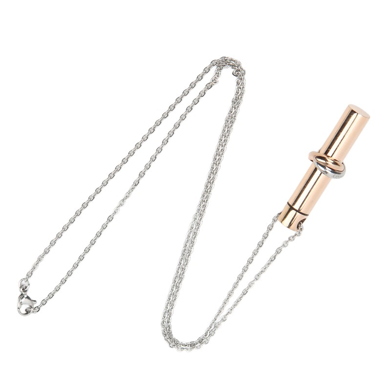 Ashes Necklace 316L Stainless Steel Oxidation Resistant Memorial Cremation Jewelry