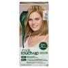 Clairol Root Touch-Up by Natural Instincts Permanent Hair Dye, 8