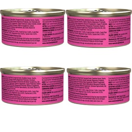 Rawz Natural Premium Pate Canned Cat Wet Food -12 Pack Cans Variety Bundle Pack -4 Flavors - (Salmon, Chicken, Turkey, Beef) with Hotspot Pets Food Bowl - (3oz Cans)