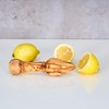 Lemon Squeezer Approx. 15 cm Olive Wood Citrus Juicer Hand