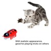 Kinberry 4pcs Mini Robot Beetle Cat Toy - Electric Glowing