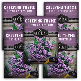 Creeping Thyme Seed for Planting - 5 Packets with Instructions to Plant and Grow Resilient Ground Cover in Your Home Garden - Non-GMO Heirloom - Survival Garden Seeds