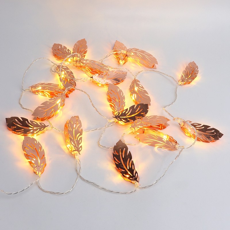 20 LED 2.5m Fairy String Light for Bedroom Lawn Landscape