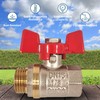 PipeSan Ball Valve 1/2 Inch Double Thread (Female/Male Thread) with