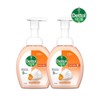 Dettol 데톨 오렌지 포밍 항균 핸드워시 250g x2개 Dettol Orange Foaming Antibacterial Hand Wash 250g x2pcs
