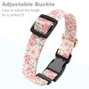 Rnivvi Dog Collar for Small Dogs, Cute Floral Heavy Duty