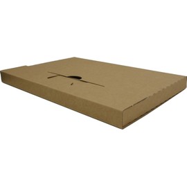 Pack of 50 Large Letter Shipping Boxes External Dimensions 245 x 172 x 20