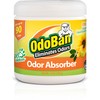 OdoBan Solid Odor Absorber Eliminator for Home and Small Spaces,