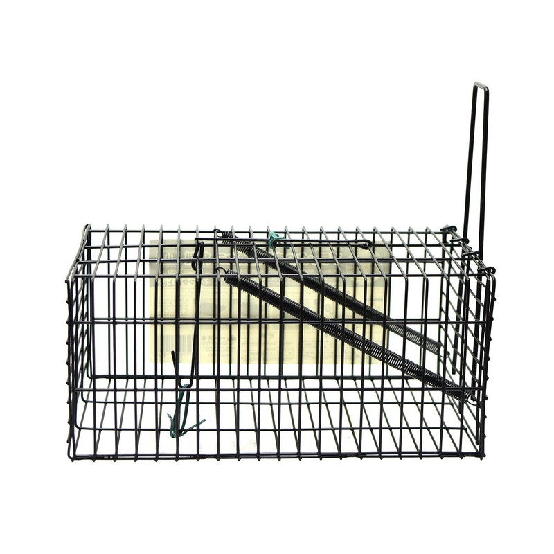 Takagi 4907052749948 Mouse Catcher, Square, Small, Black, Repeated Use