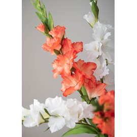 BQEE Long Stem Artificial Gladiolus Flower, Set of 2, Home/Wedding/Office Decor (Orange)