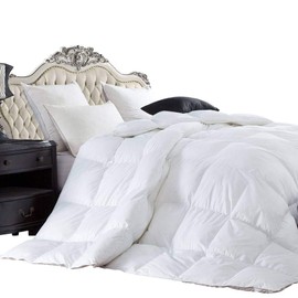 Luxurious 300TC Hungarian Goose Down Comforter, Egyptian Cotton Cover, Size - Queen