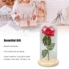 Rose in Glass Dome Lucky Beautiful Symbolism Romantic Enchanted Rose