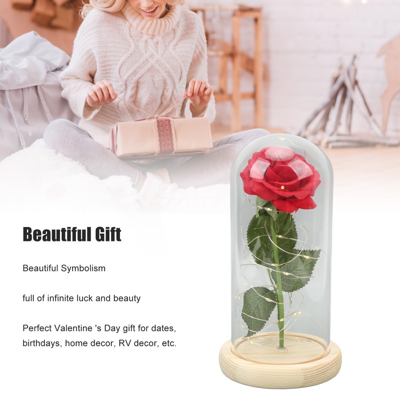 Rose in Glass Dome Lucky Beautiful Symbolism Romantic Enchanted Rose