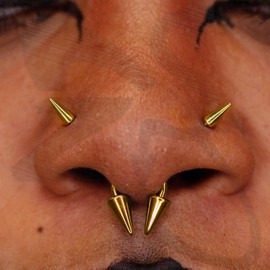 ZS 20G Spike Nose Rings Studs, 18G Stainless Steel Spike Stud Earrings, 16G Septum Lip Rings Cartilage Tragus Helix Piercing for Women Men (18pcs 16g septum rings)