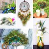 Piokio 50 pcs Peacock Feather in Bulk 10-12 inch(25-30 cm)