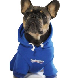 ChoChoCho Stylish Streetwear Blue Dog Sweatshirt Tracksuits, Cats Hoodies, Dog Outfit for Cat Puppy Small Medium (XL)
