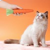 Zyghjort 2 PCS Kitten Teething Toys, Cat Toys for Indoor