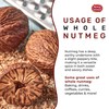 Spicy World Nutmeg Whole 3.5oz (100g) - Premium Grade from