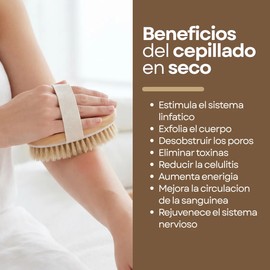 Cepillo Corporal Mejor Circulacion Exfolia Quita Piel Muerta