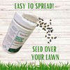 Flawn Seed Kits Dutch White Clover Seed Kit, Easy Spread