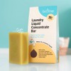 Biome Laundry Liquid Concentrate Bar, No packaging box