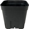 Japan Porihachi Hanbai Appleware Prestella 90, Set of 10, Black