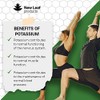 Potassium Supplements 1000mg, 240 Vegan Potassium Tablets Mineral Electrolytes Supplement
