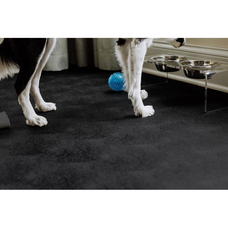 G-Floor for Pets Levant Texture Protective Vinyl Floor Covering for