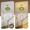 Feasey Green Semi Flush Mount Ceiling Light,Glass Ceiling Light Fixture